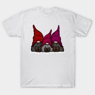 Tomte Time T-Shirt